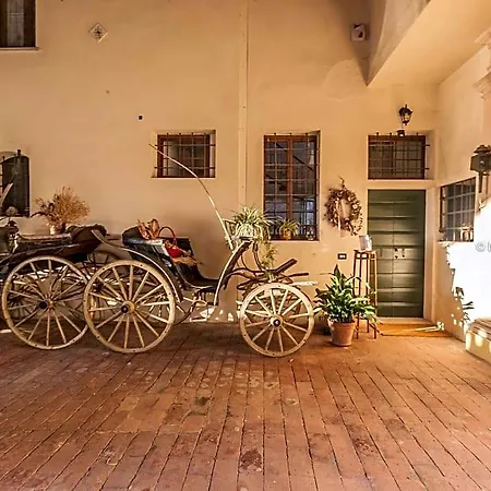 Dal Vicere - Mezzalira